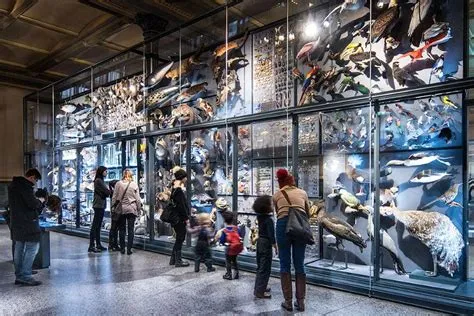 Il Museo di Storia Naturale: Un Viaggio Tra Curiosità e Meraviglie nelle Filippine!