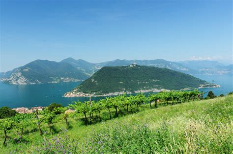 Il Ponte di Yuezhou: Un'Antica Tradizione Incastonata tra le Acque